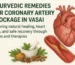 Ayurvedic Remedies for Coronary Artery Blockage in Vasai